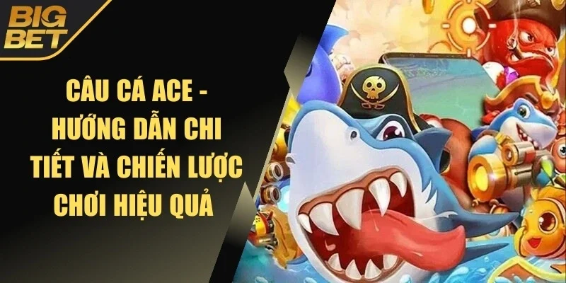 Câu cá ACE